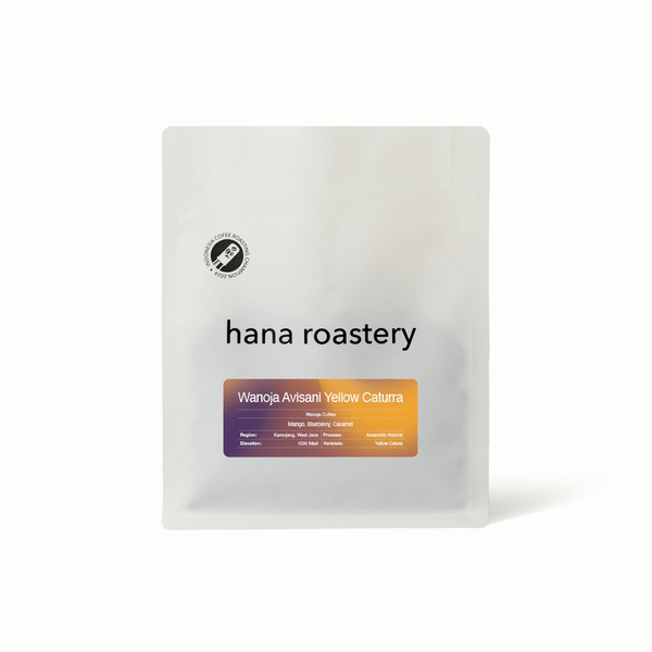 Wanoja Avisani Yellow Caturra - Anaerobic Natural